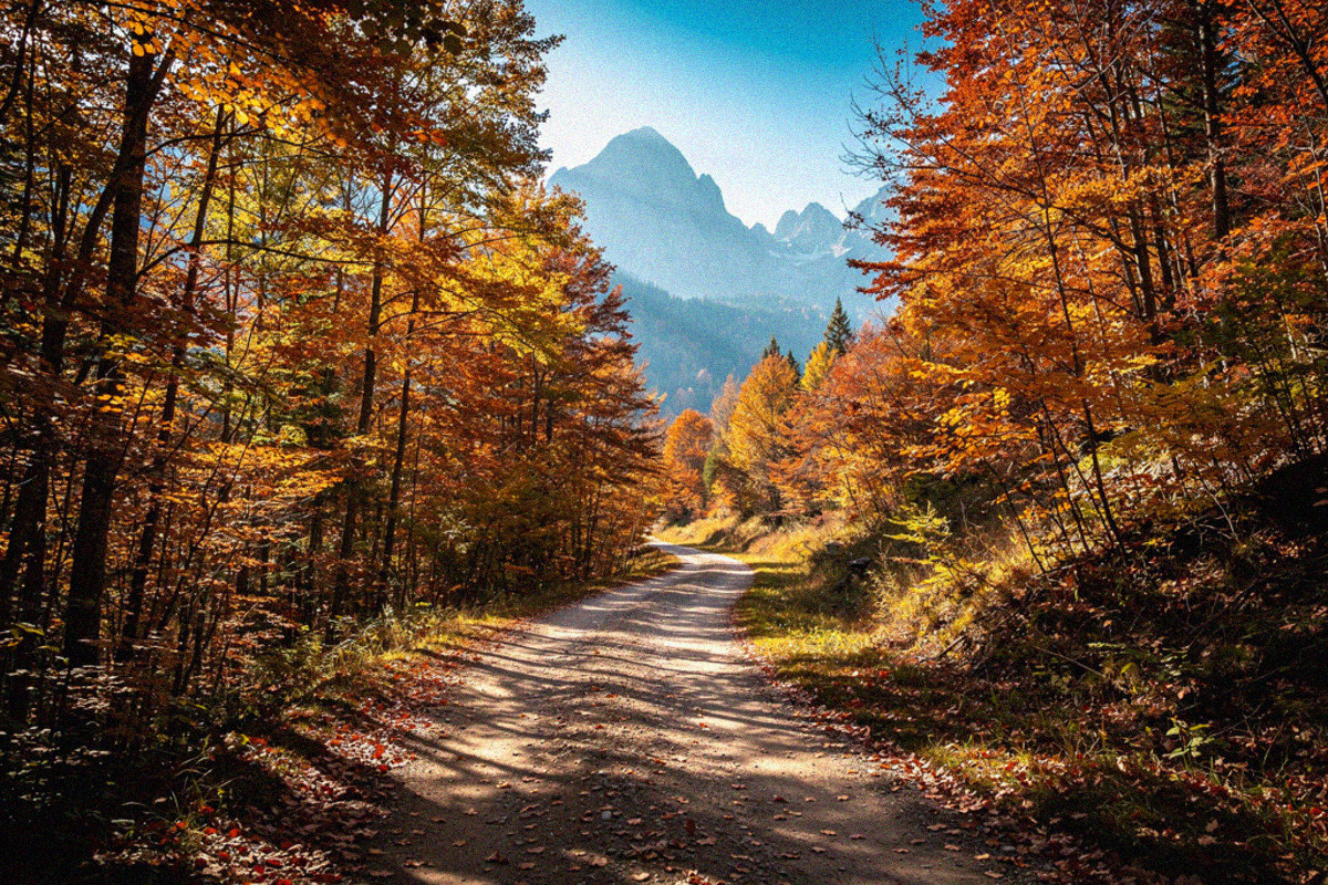 Les plus beaux trails d automne 2026 en france notre