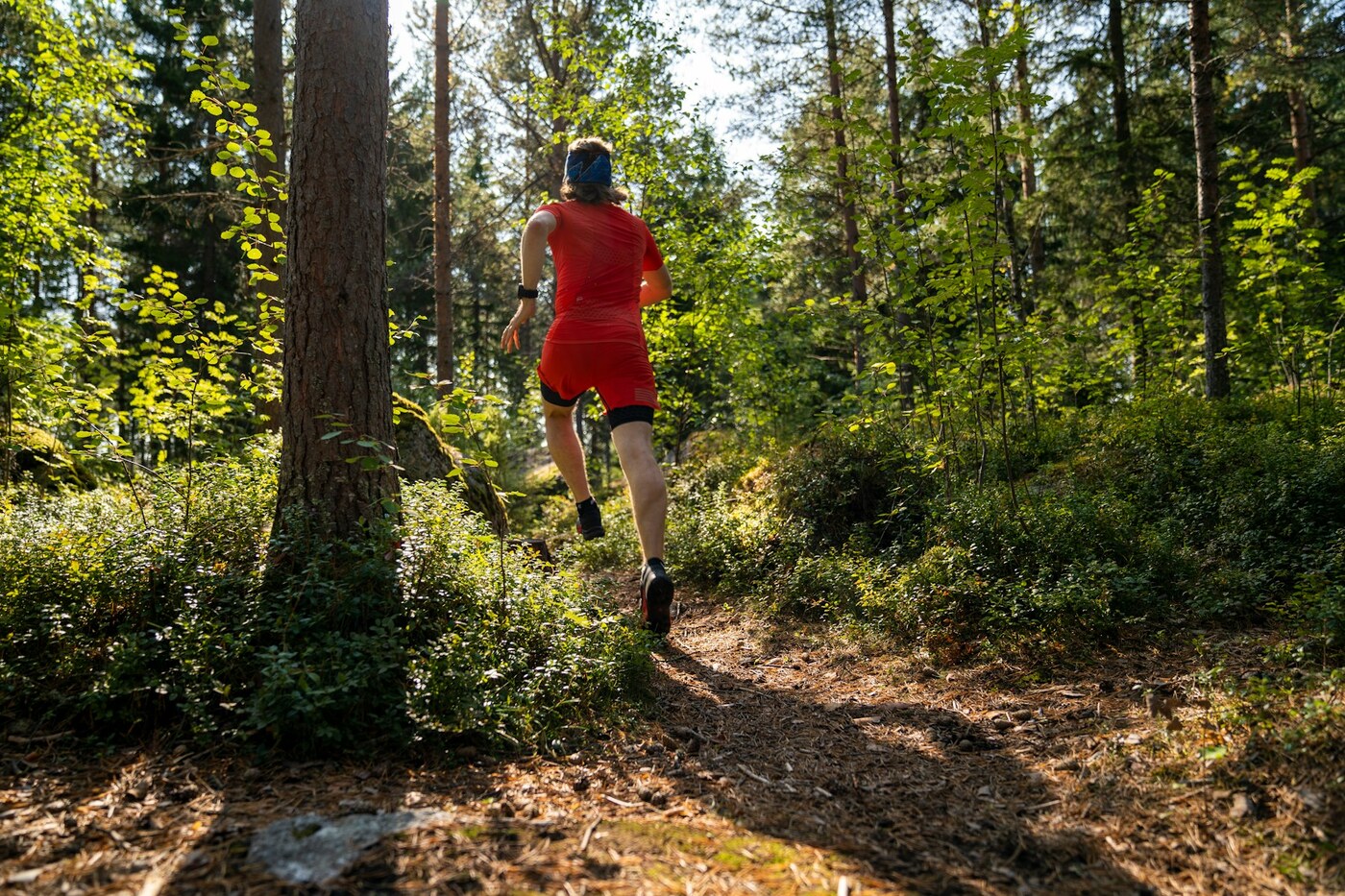 Traileur courant sur un sentier forestier