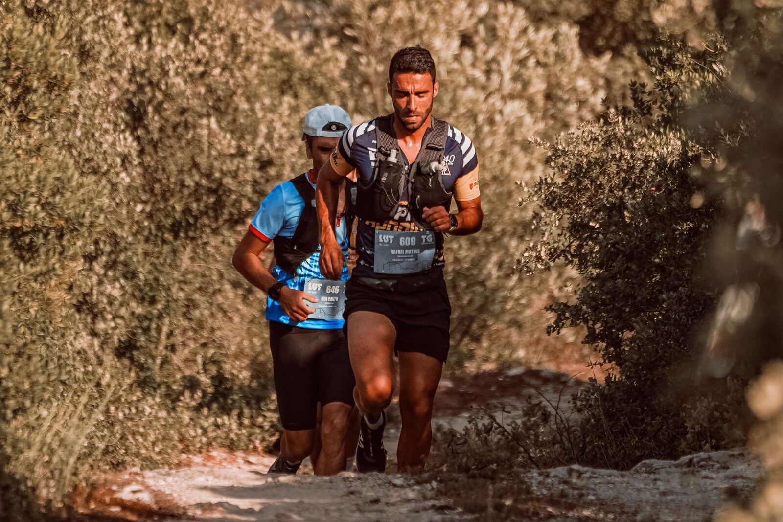 Deux coureurs progressent sur un sentier boisé pendant une course de trail