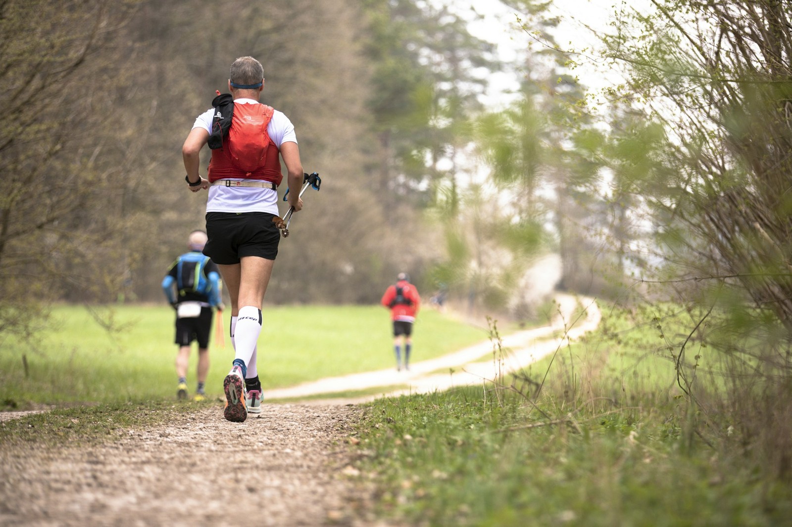 Groupe de coureurs de trail progressant sur un sentier forestier vallonné