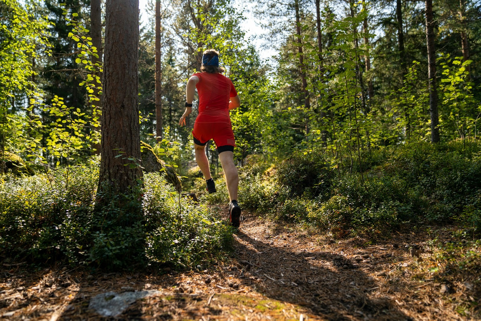 Un coureur progresse sur un chemin de terre à travers les arbres en sous-bois