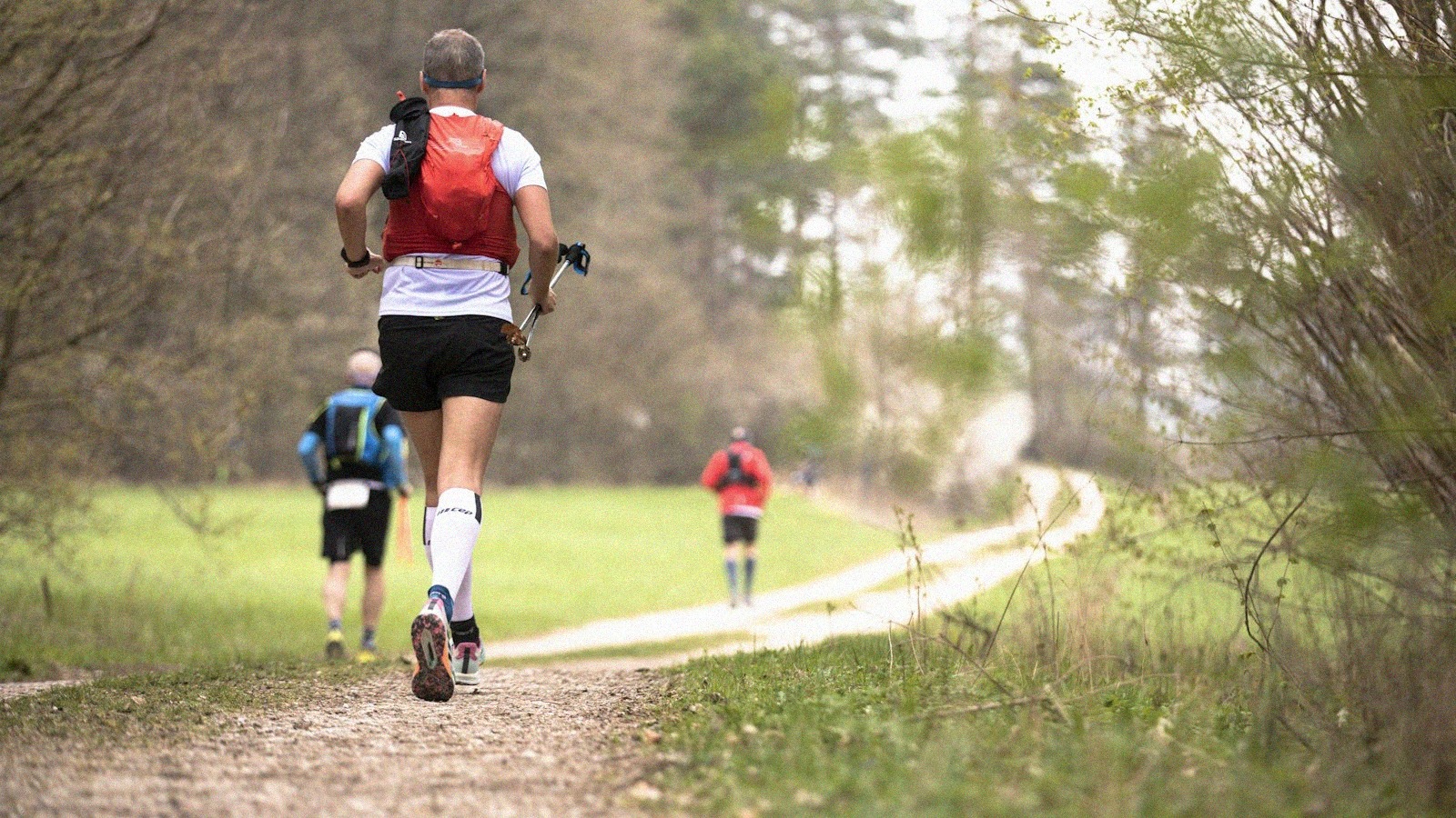 Nord trail monts de flandres 2027 inscriptions 7 formats et