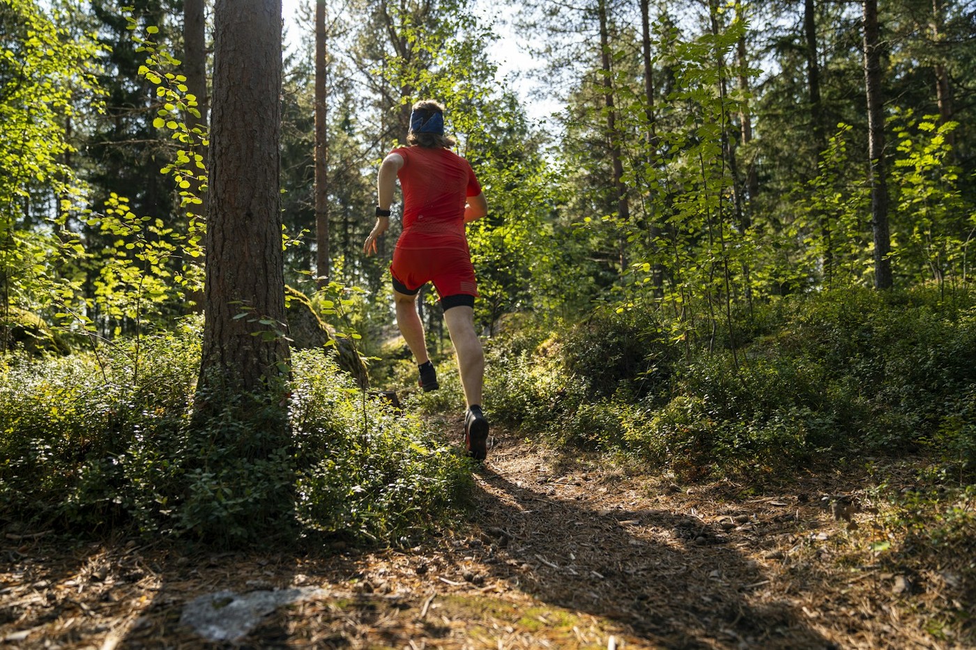 Coureur sur un chemin de sous-bois vallonné