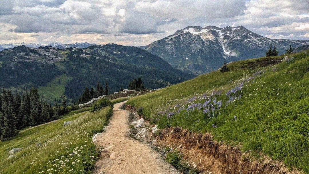 Preparer son inscription a un trail justificatif medical