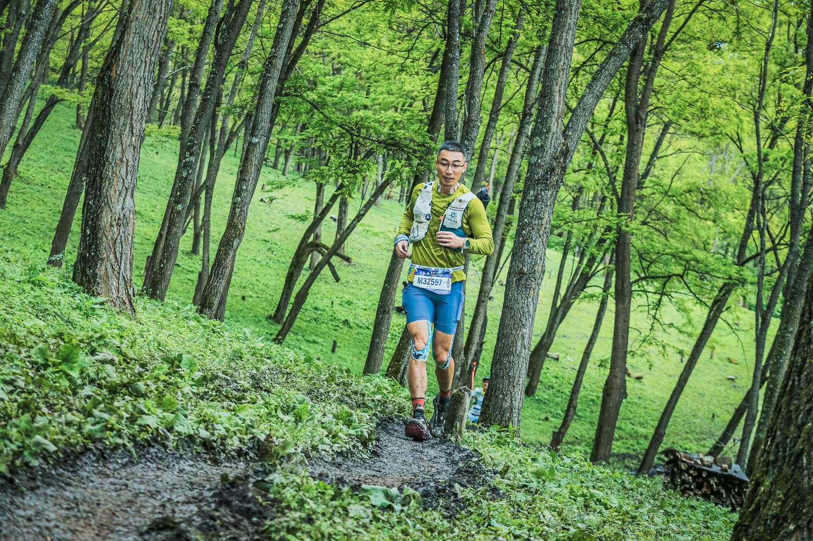 Sentier de sous-bois vallonné bordé de conifères et d'arbres verdoyants dans le Jura
