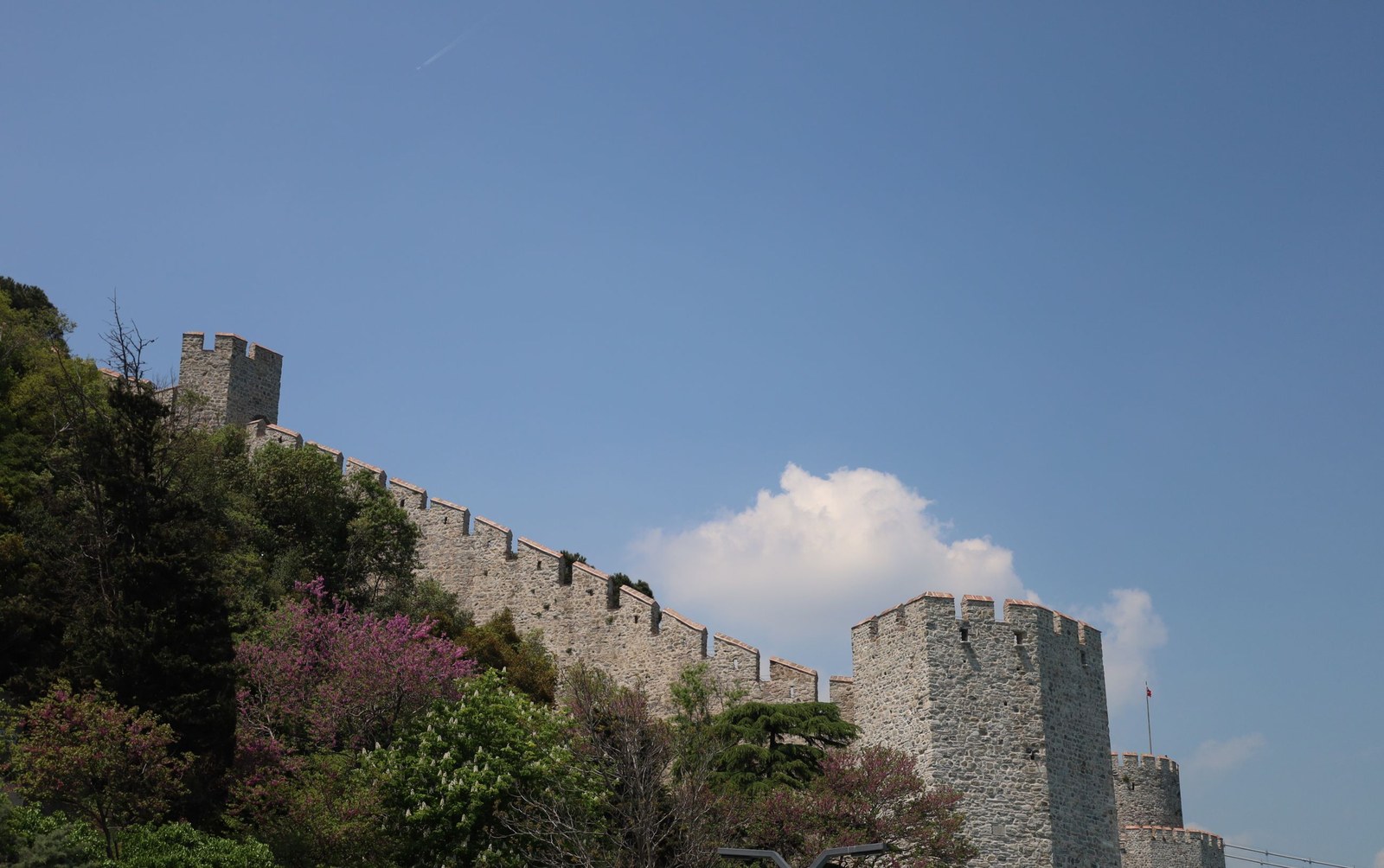 Murailles de pierre d’une forteresse sur une colline boisée