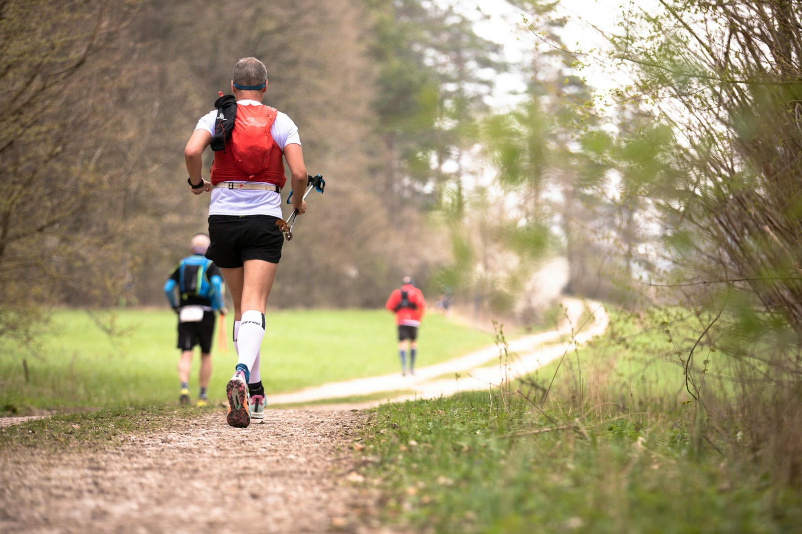 Peloton de coureurs de trail progressant sur un chemin forestier vallonné
